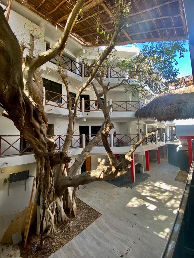 Why Not Rooftop Party Hostel Плая-дель-Кармен Экстерьер фото